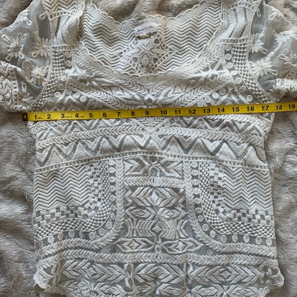 ANTHRO Ivory Embroidered Lace and Mesh Top - Picture 3 of 7